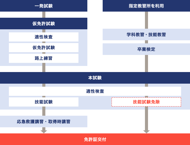 免許交付までの流れ